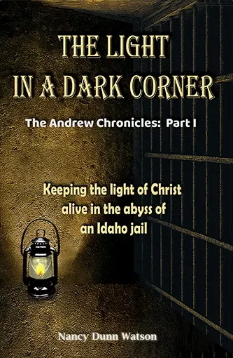 The Light In a Dark Corner book cover